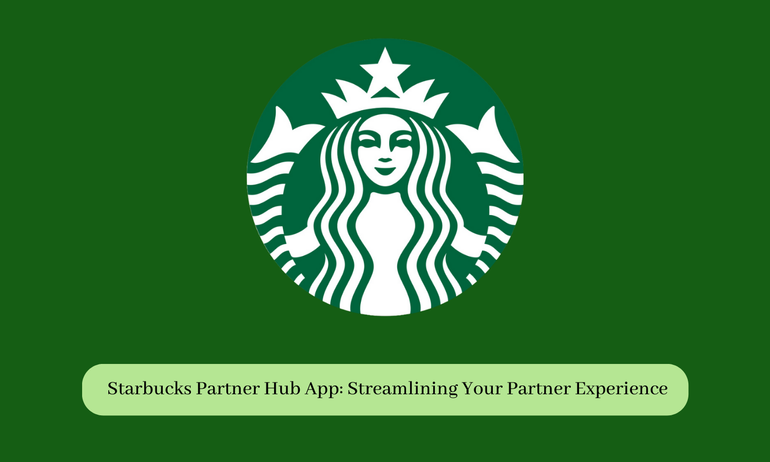 Starbucks Partner Hub App: Streamlining Your Partner Experience